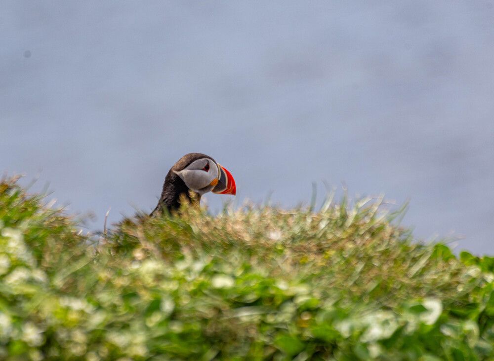 Photograph by Василий Писарев