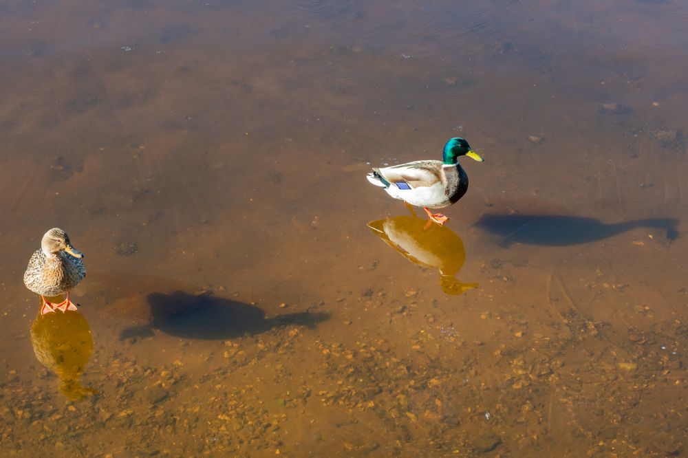 Photograph by Константин Пухов