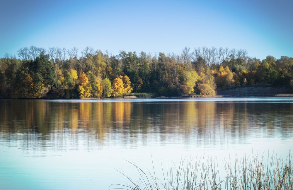 Фотография автора Lija Mežecka