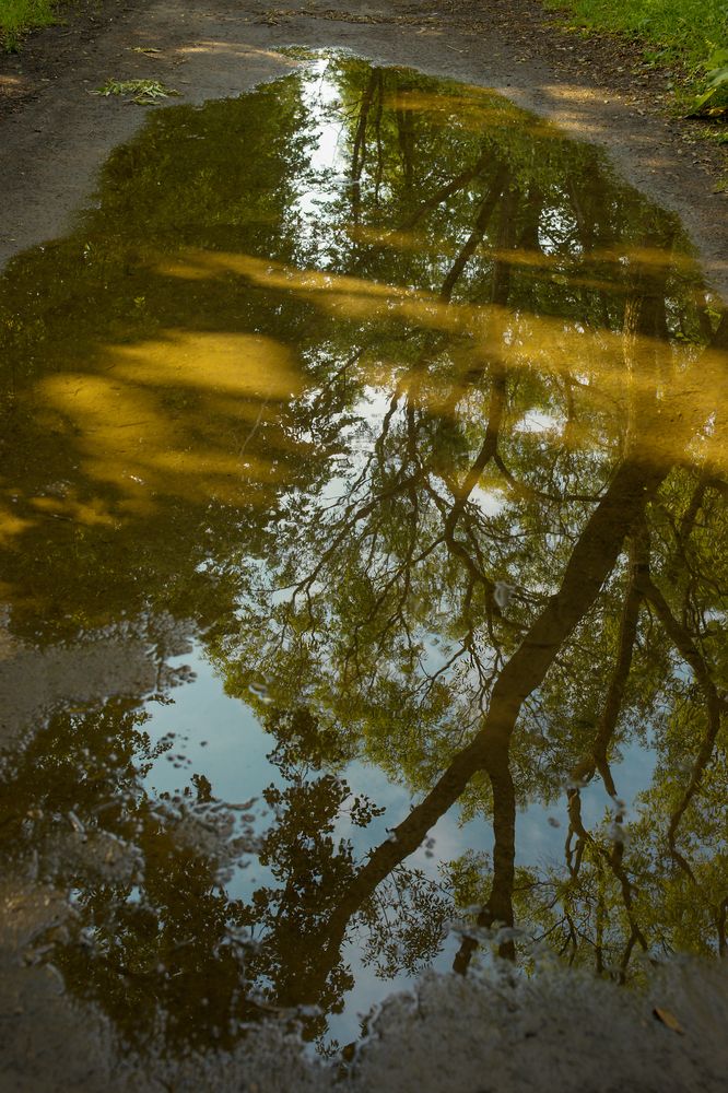 Photograph by Сушкевич Светлана