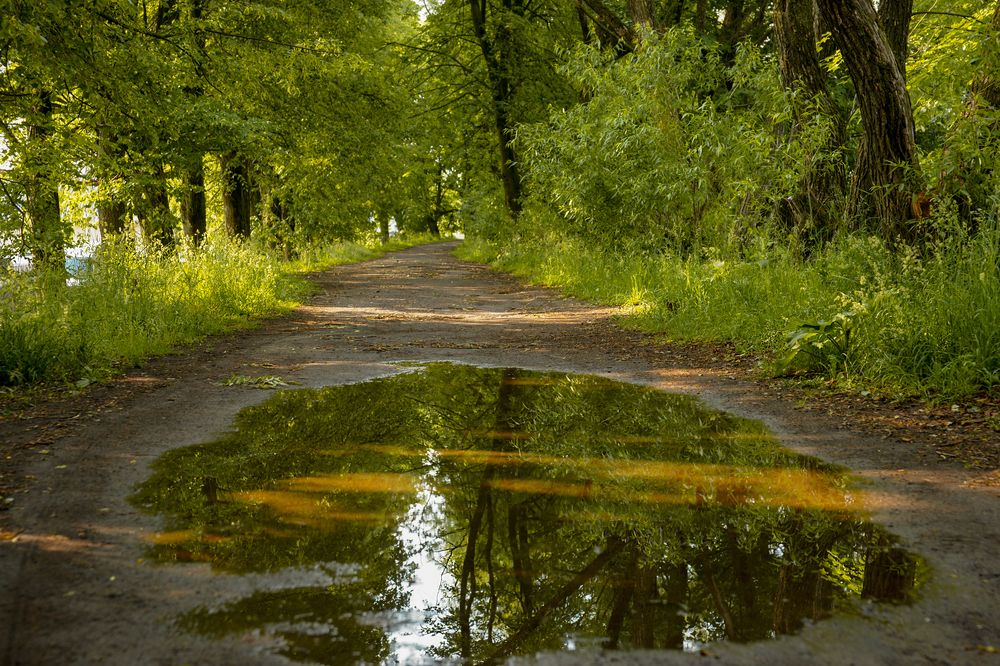 Photograph by Сушкевич Светлана