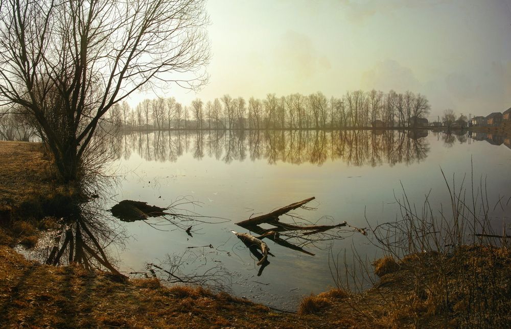 Photograph by Сушкевич Светлана