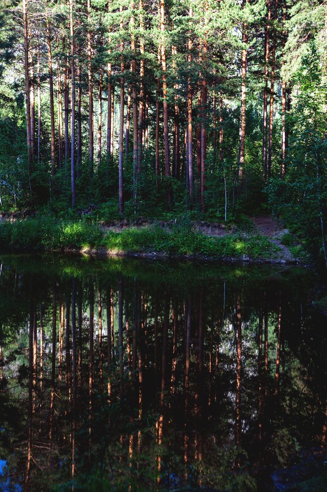 Photograph by Оксана Ланских