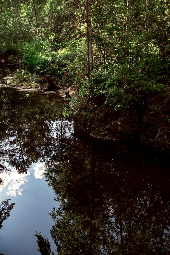 Photograph by Оксана Ланских