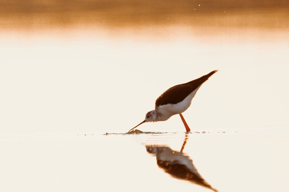 Photograph by Виктор Владимиров