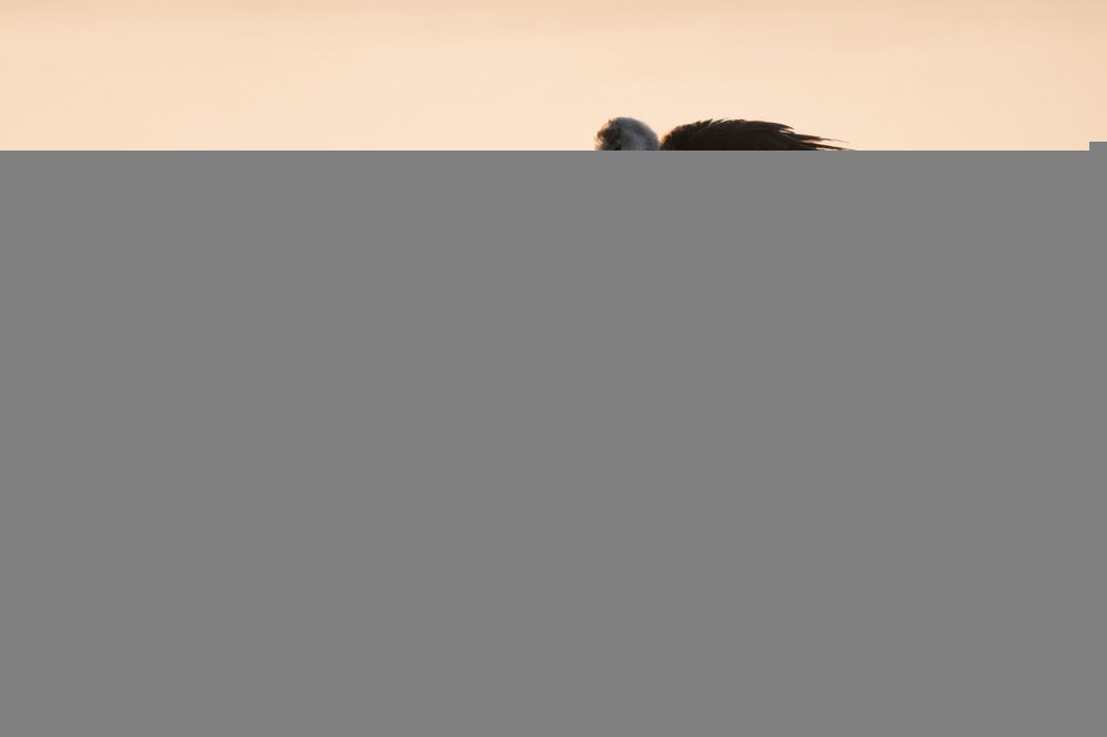 Photograph by Виктор Владимиров