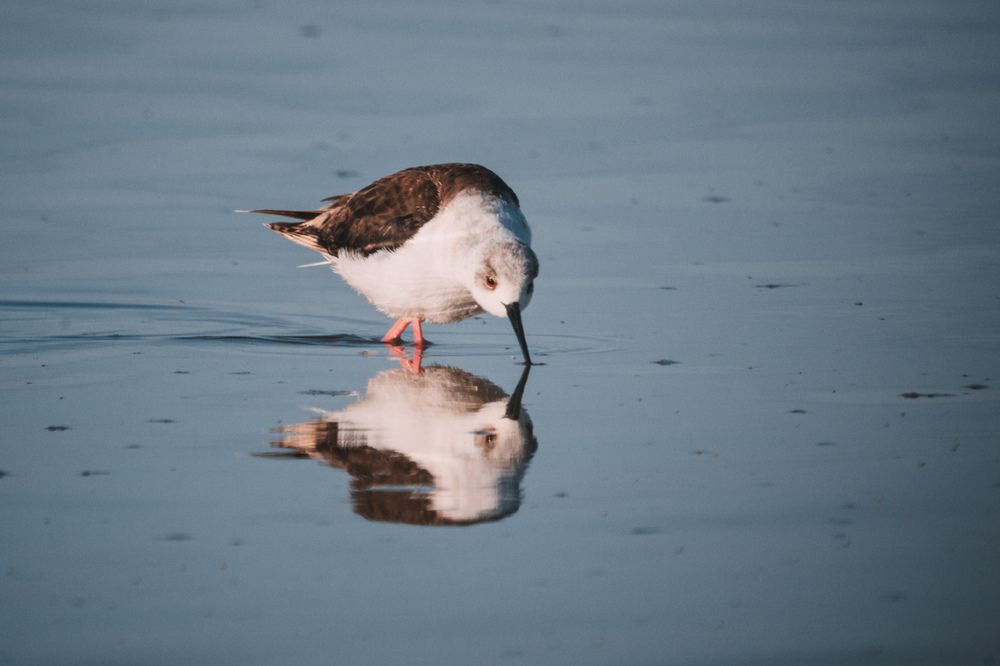 Photograph by Виктор Владимиров