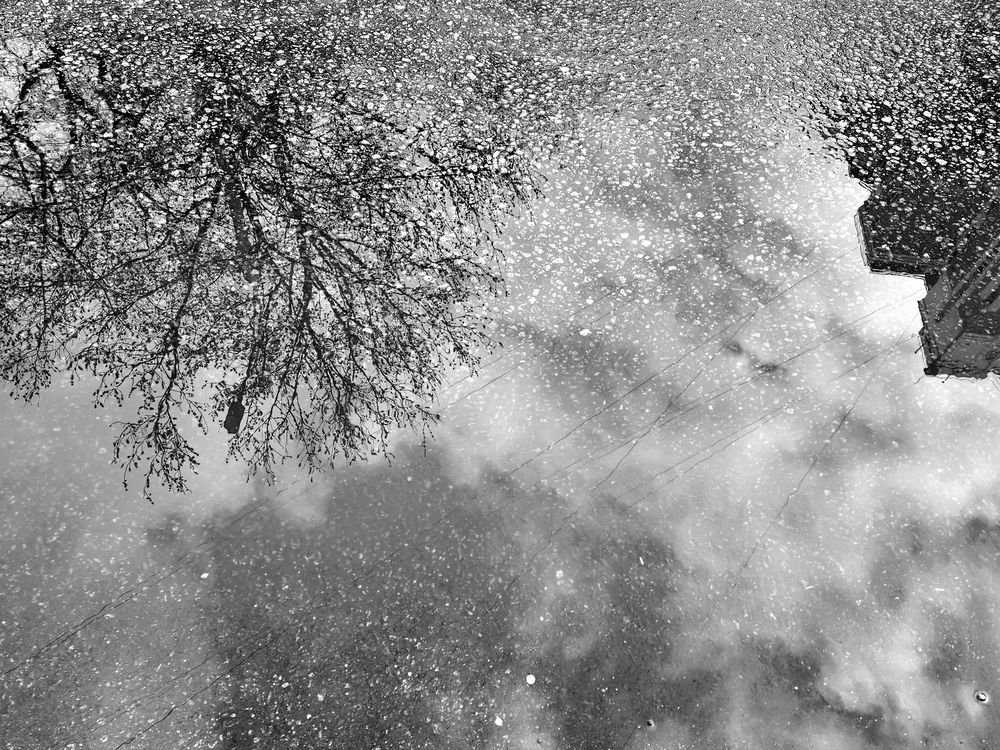 Photograph by Елена Беланенко