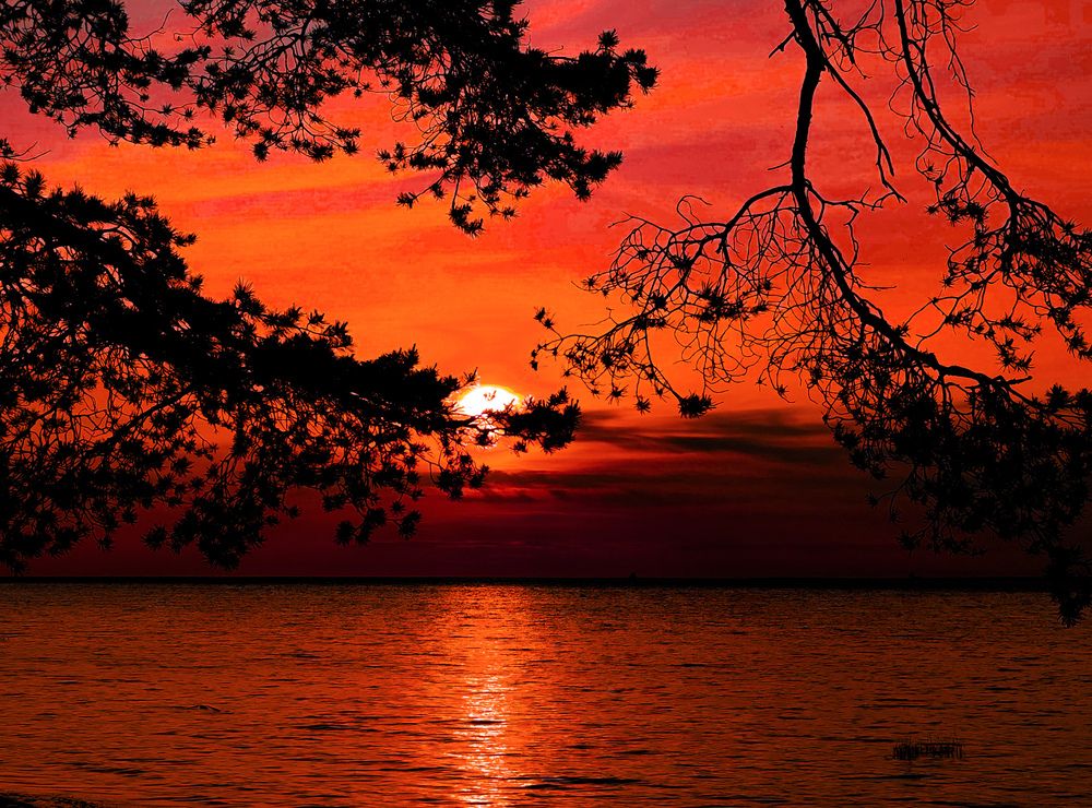 Photograph by Дайана