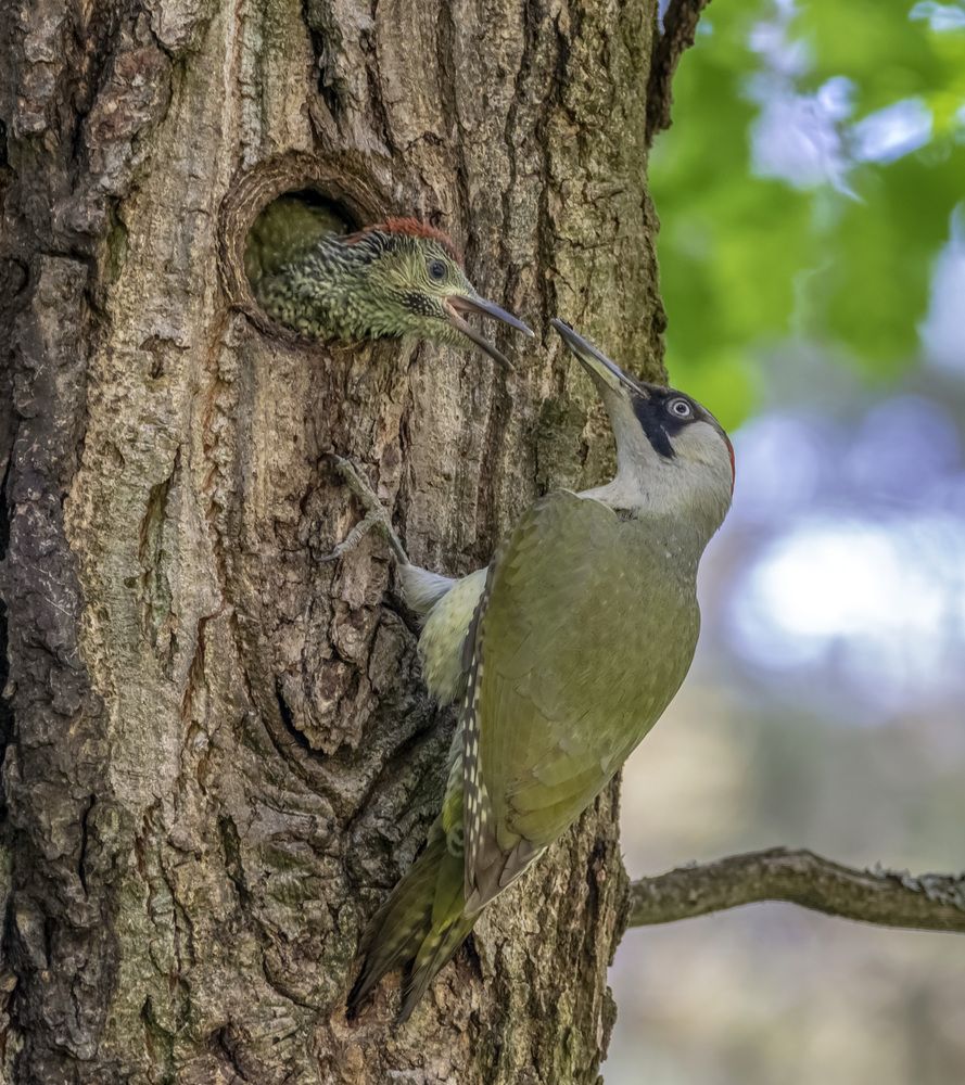 Photograph by Андрей Калинин
