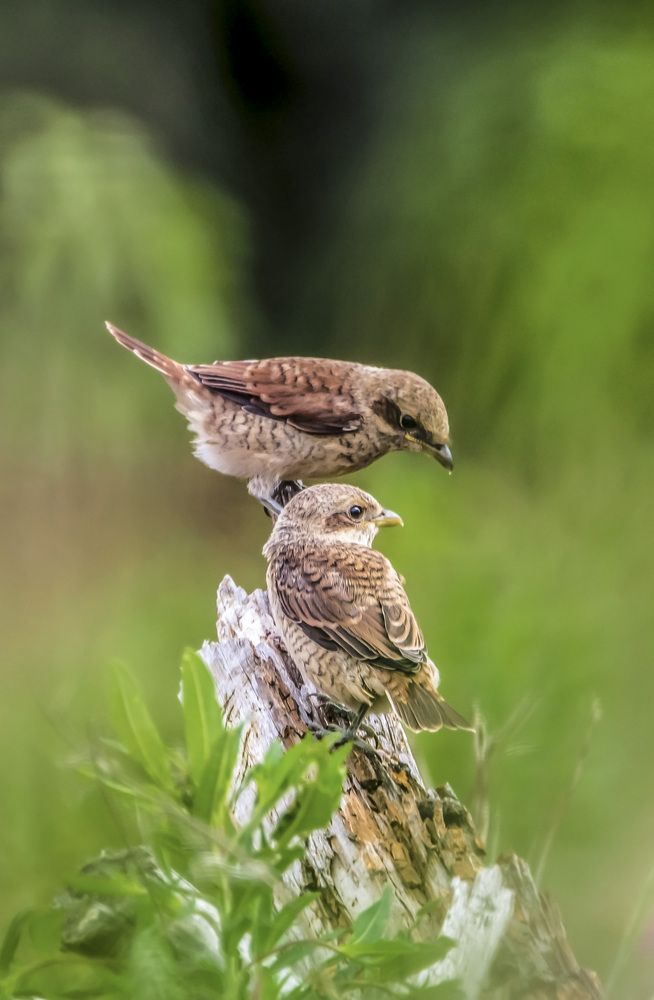 Photograph by Андрей Калинин