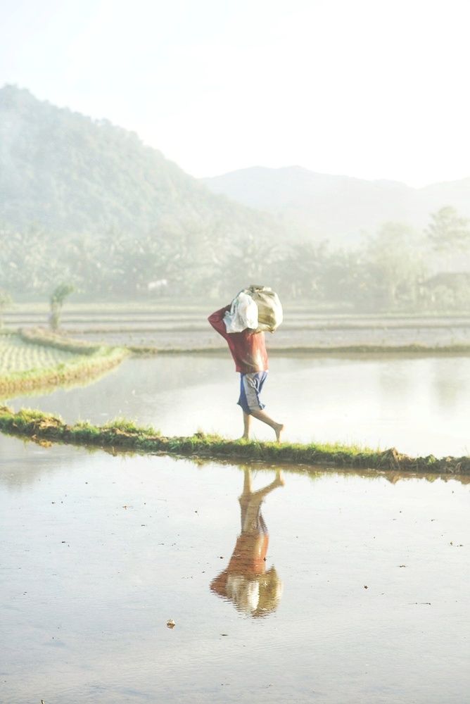 Фотография автора Luqman Hakim