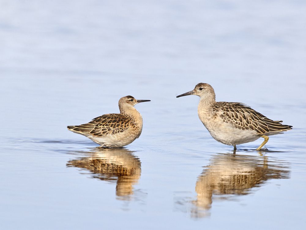 Фотография автора Владимир Борисов