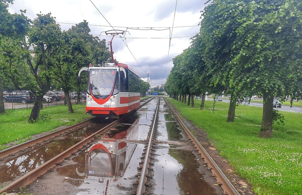 После дождичка...