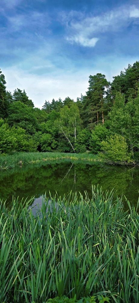 Photograph by Людмила Лукьяненко