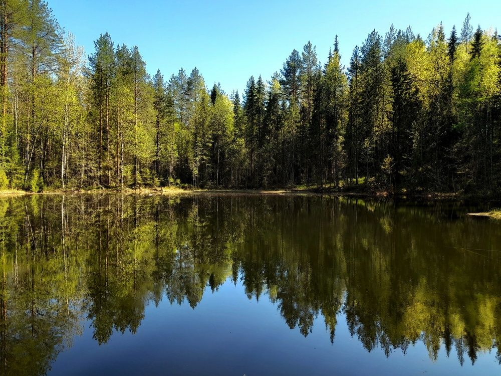 Photograph by Ольга Березовская