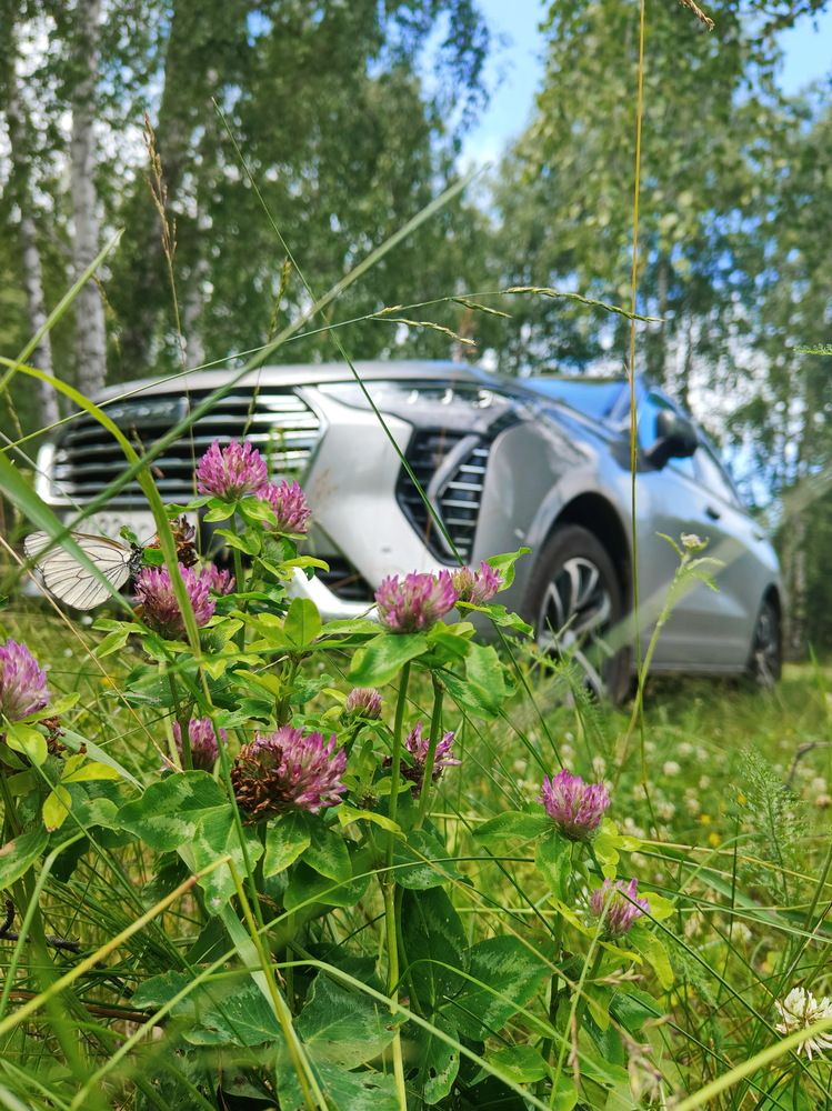 Photograph by Виталий Черепенькин