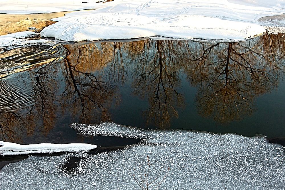 Фотография автора Екатерина Першина