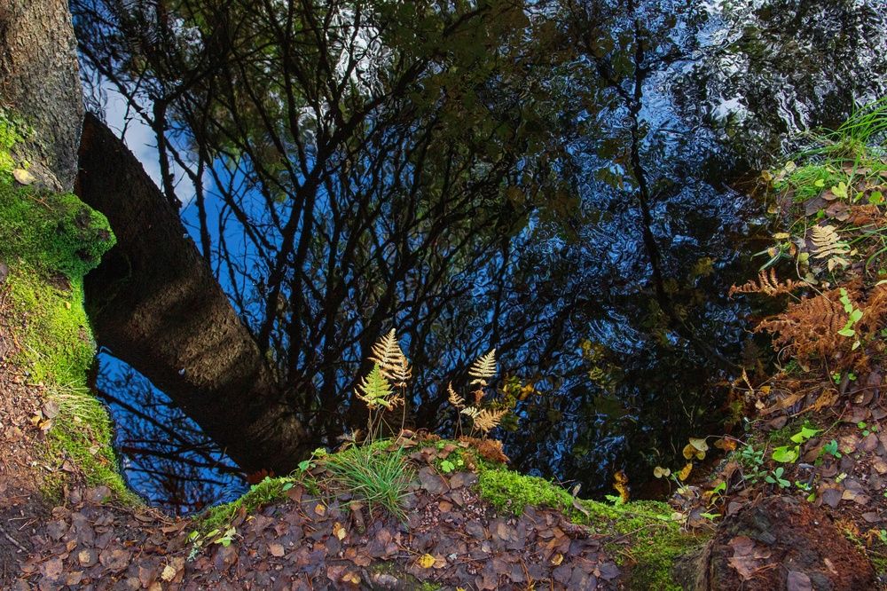 Фотография автора Екатерина Першина