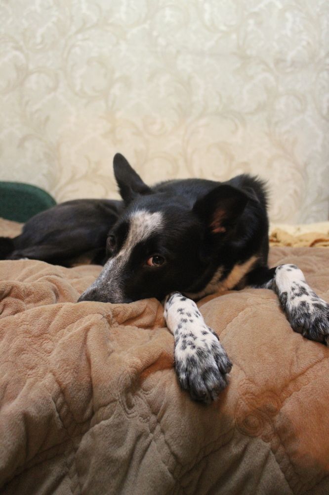 Photograph by Дмитрий Суходольский