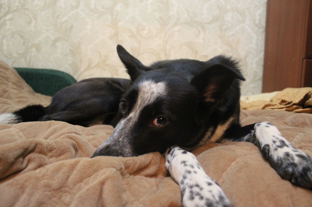 Photograph by Дмитрий