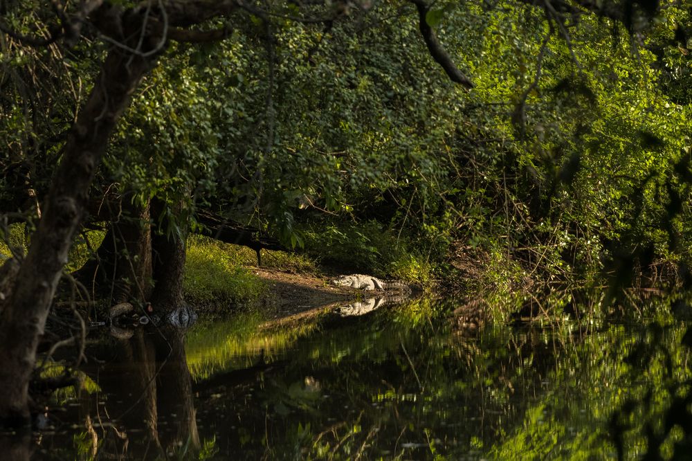Фотография автора Ishan Vora