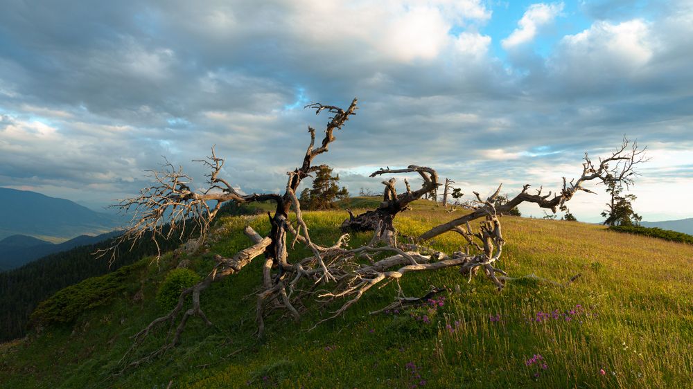 Photograph by Bogdan Kalashnikov
