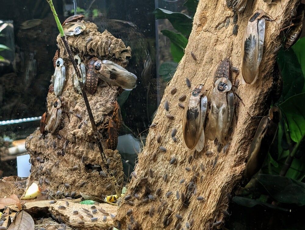 Фотография автора Рузинова Елена