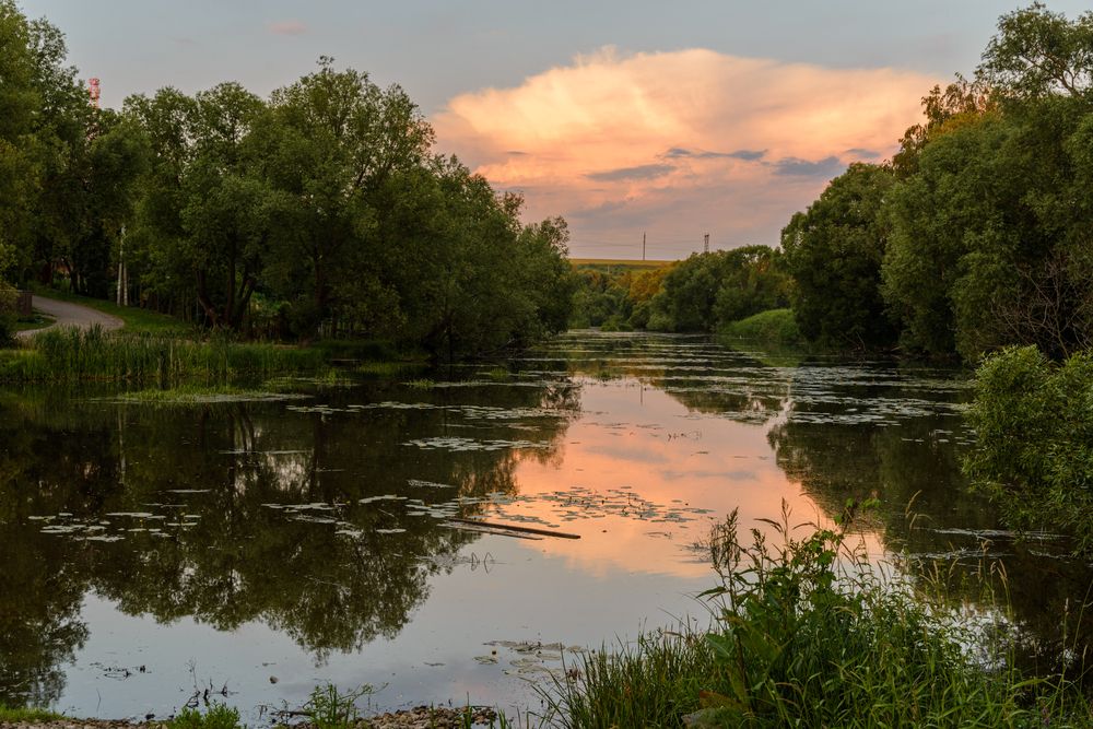 Photograph by YURIY TSARENKO