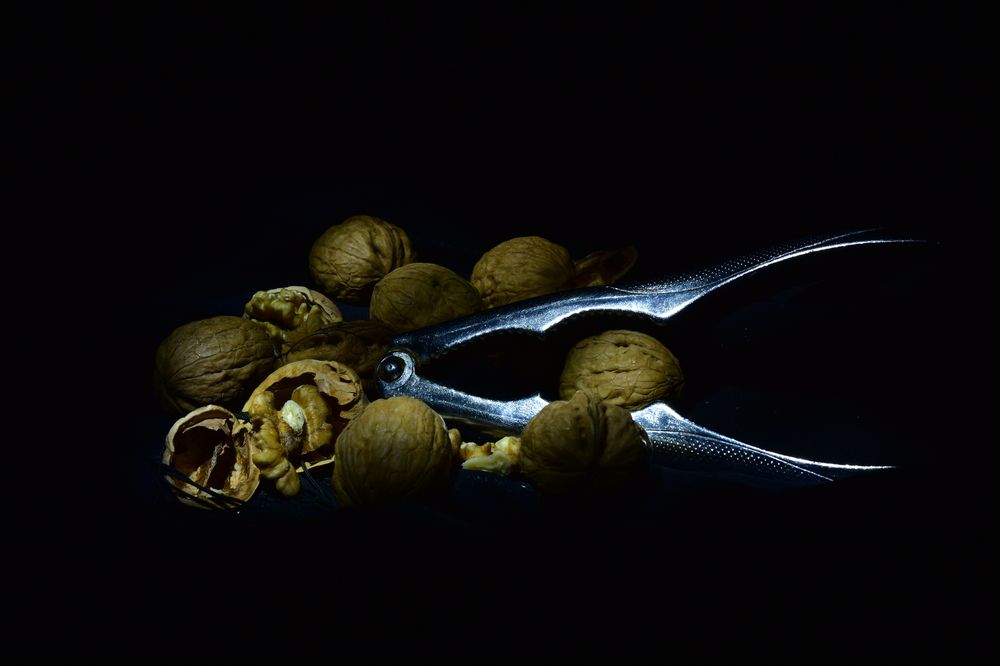 Photograph by Julio Medina