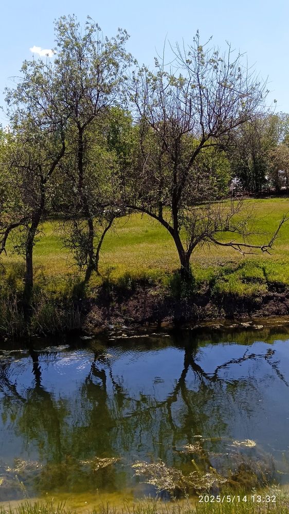 Photograph by Пархомова