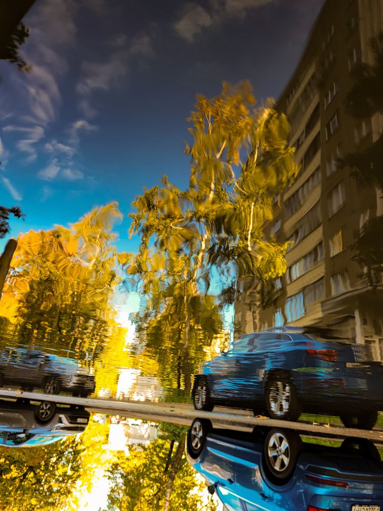 Photograph by Дубалеко Ольга