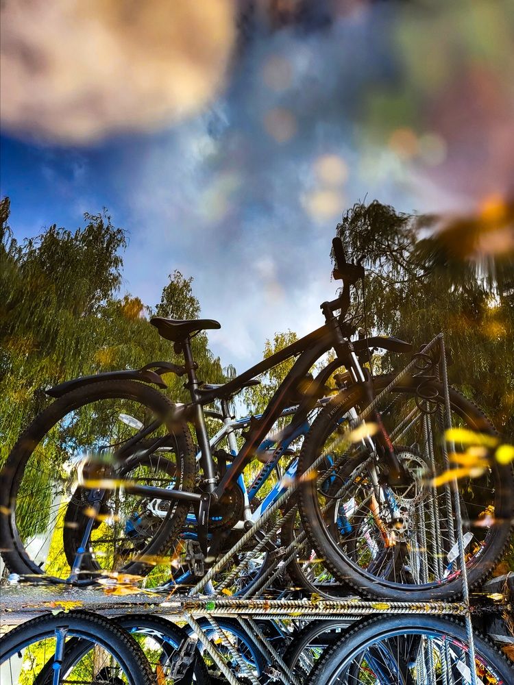 Photograph by Дубалеко Ольга