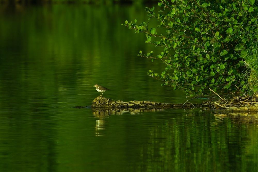 Photograph by Kateřina