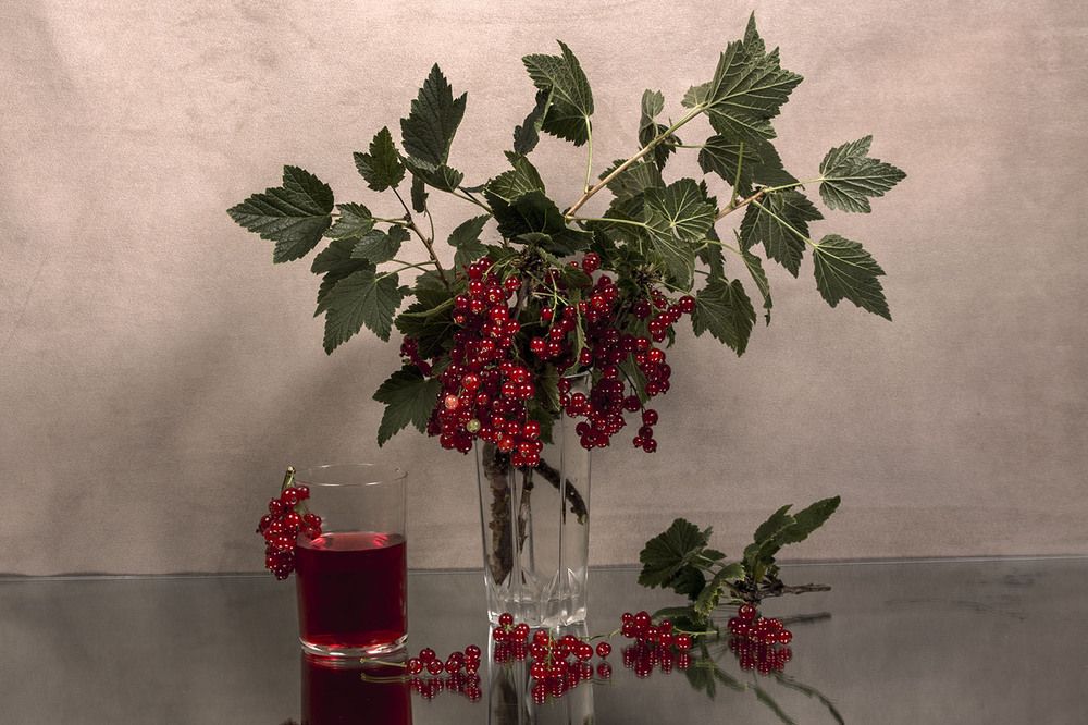 Photograph by Людмила Павловна