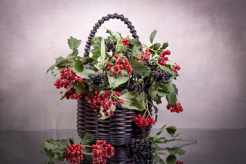 Photograph by Людмила Павловна