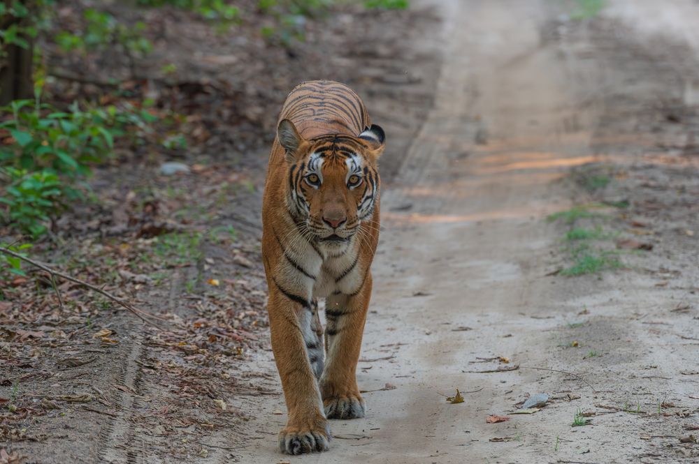 Photograph by Atul Sharma