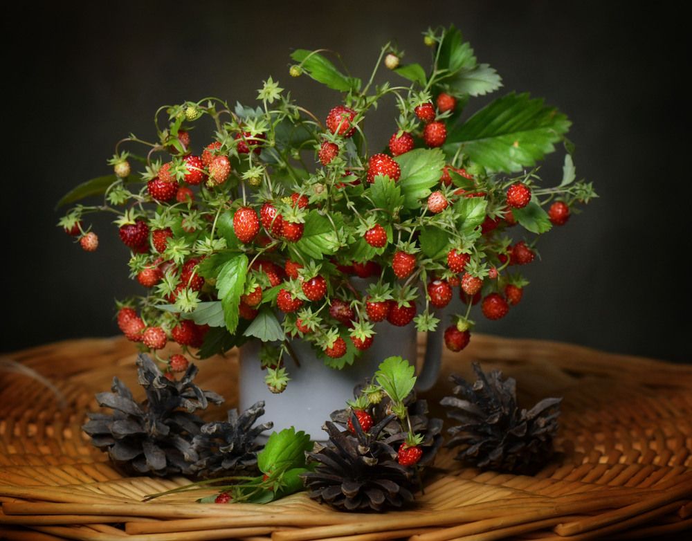 Photograph by Ирина Ефимова