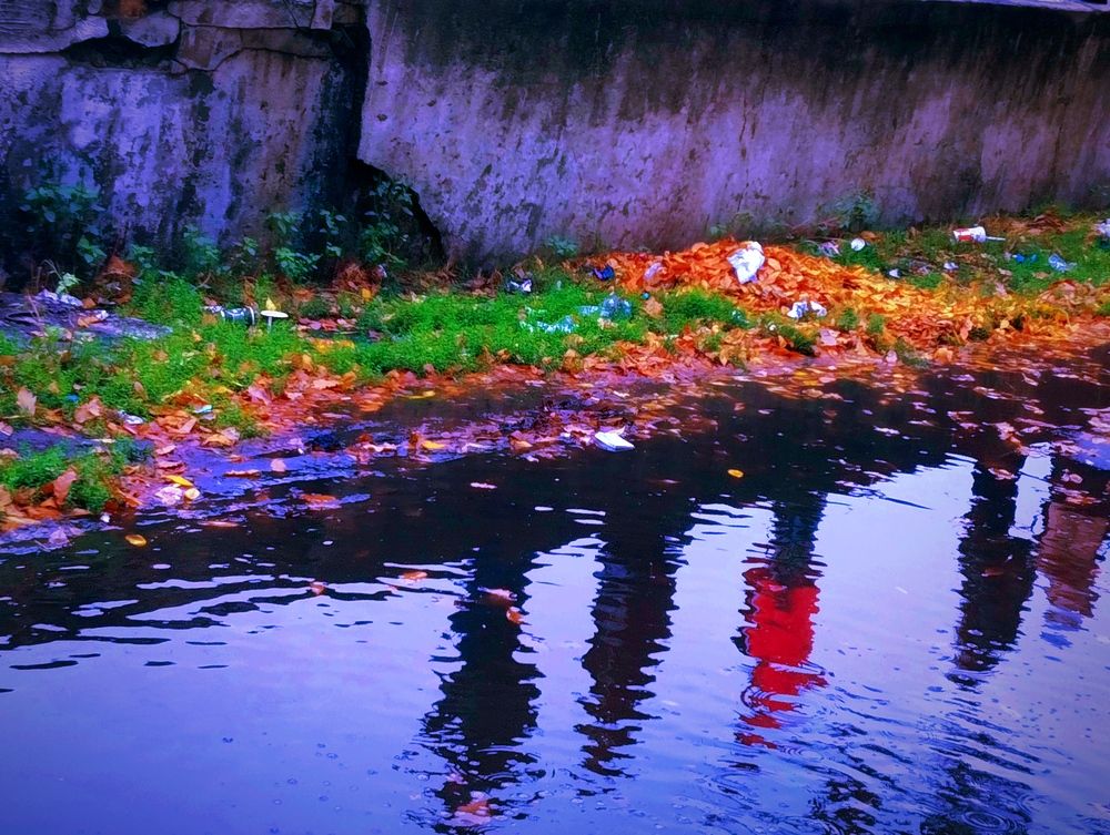 Photograph by Владимир Ким