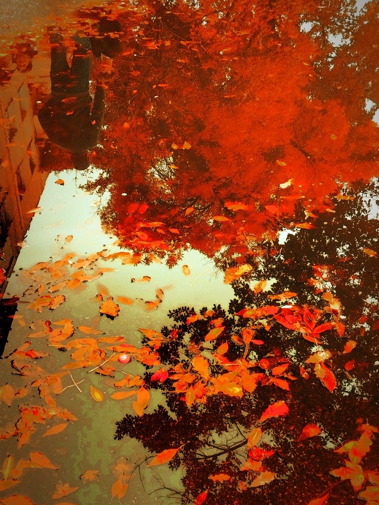 Photograph by Владимир Ким