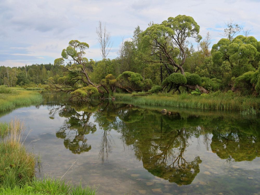 Photograph by Марианна Браун