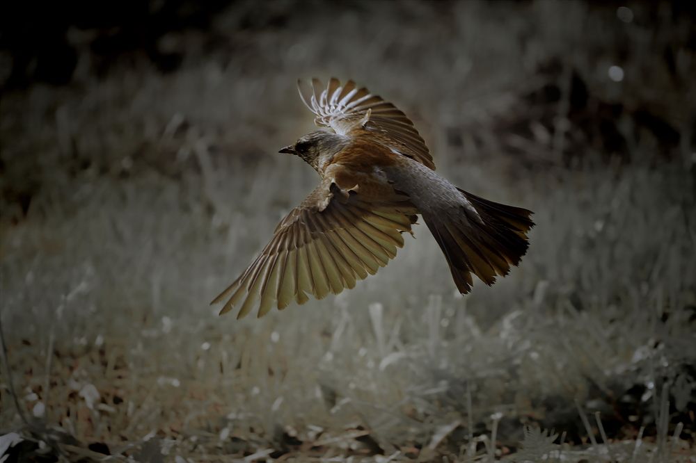 Photograph by Yana Egorova