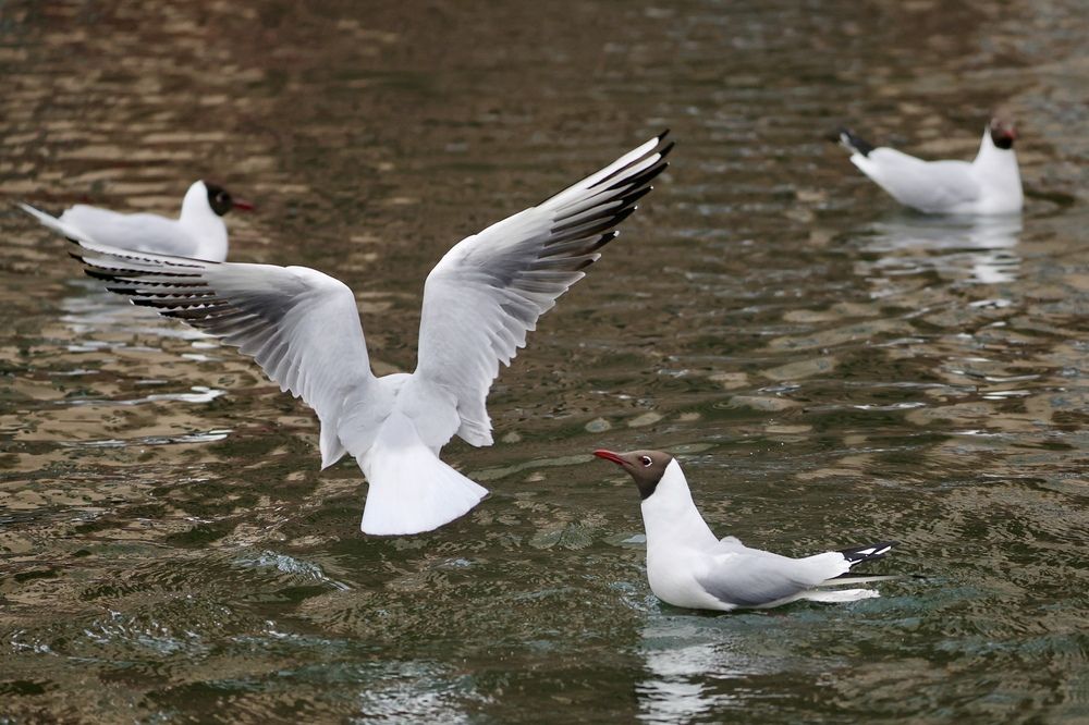 Photograph by Yana Egorova