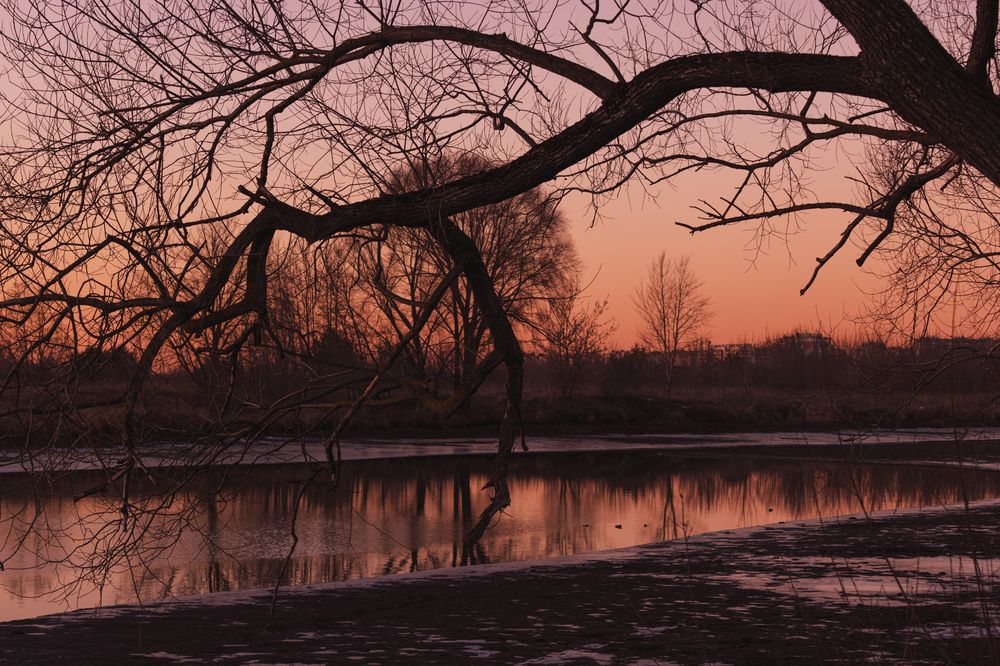 Фотография автора Ирина Гриценко