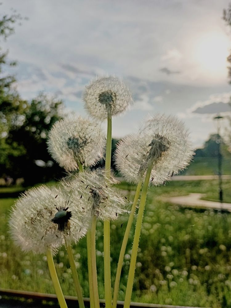 Photograph by Наталья