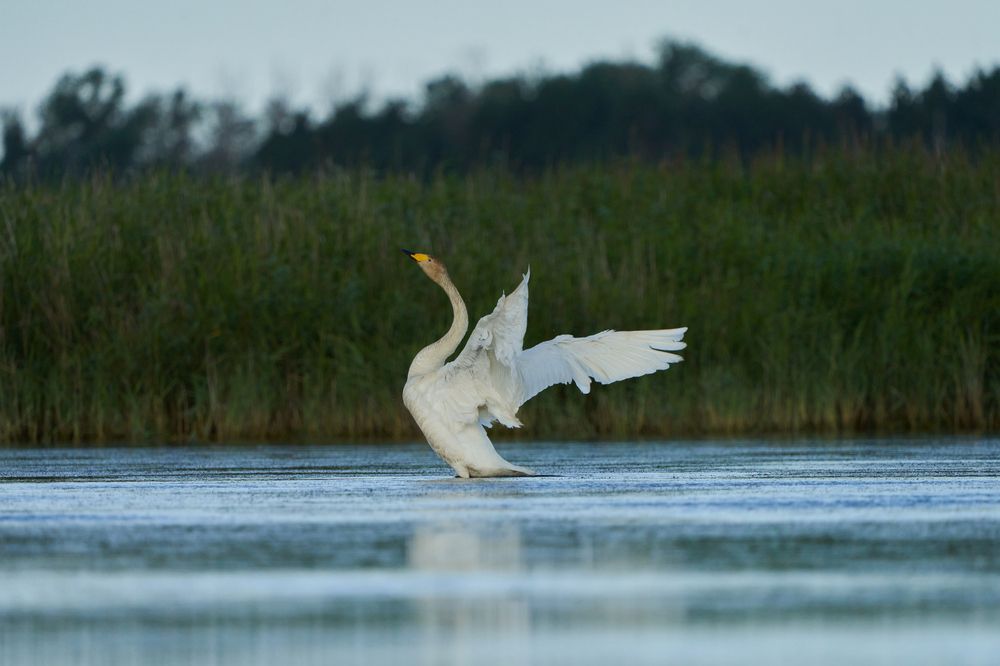 Photograph by Игорь Травкин