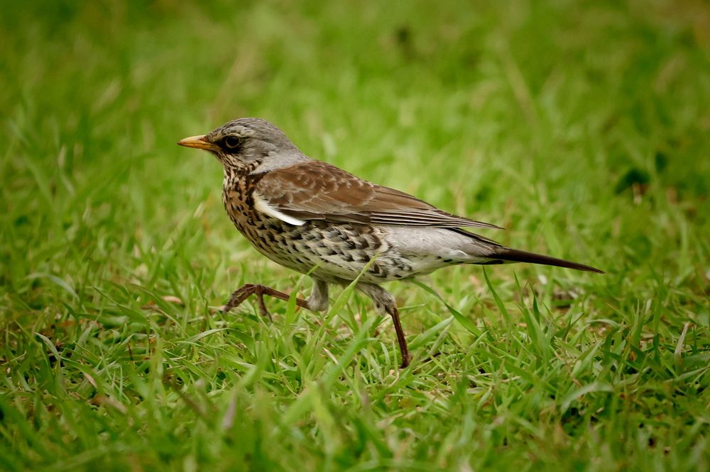 Photograph by Yana Egorova