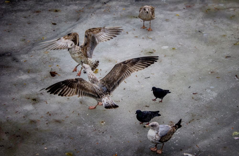 Photograph by Yana Egorova