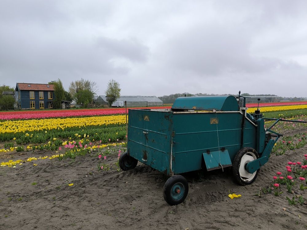 Photograph by Елена Симонова