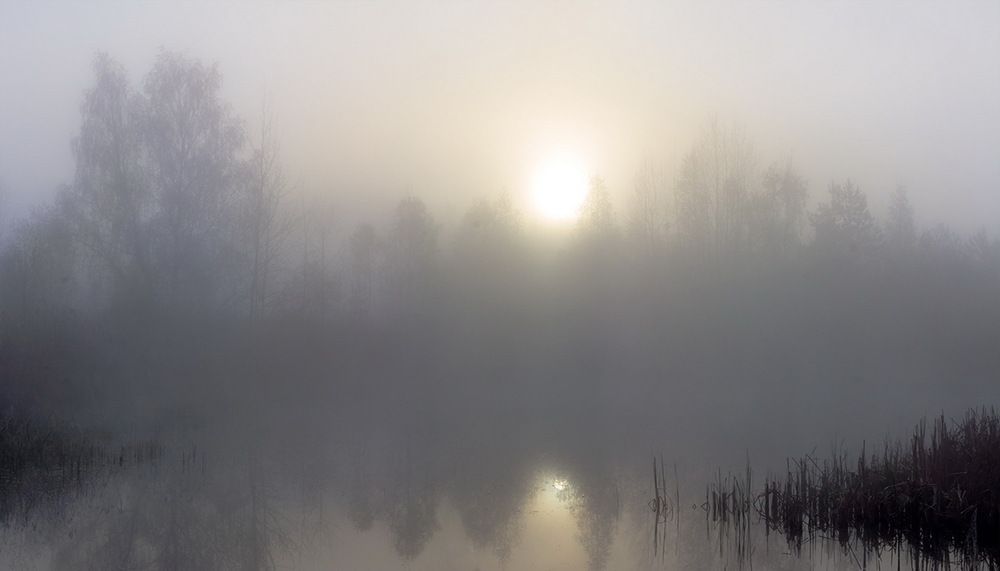 Фотография автора Борис Журавлёв